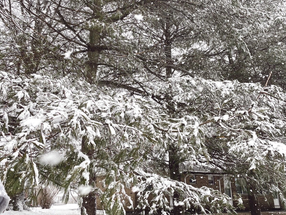 Snowy Day Essentials